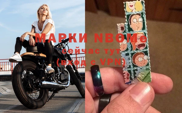 прущие грибы Алзамай