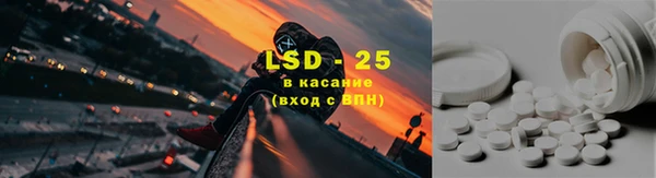 прущие грибы Алзамай