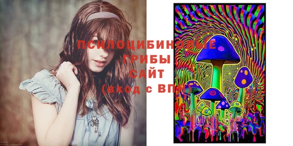 СК Абаза