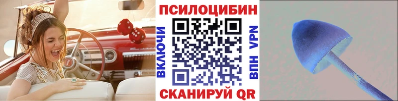 дарк нет Telegram  Щёлкино  Псилоцибиновые грибы прущие грибы 